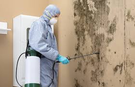 Professional Mold Inspection in Lake Wylie, SC